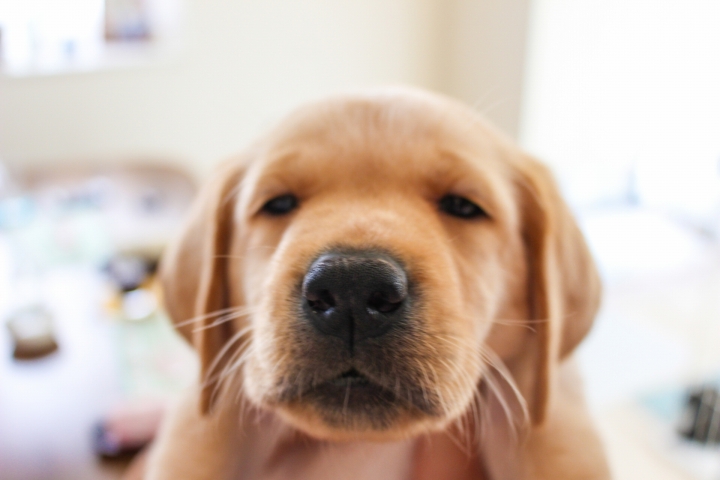 当サイトについて