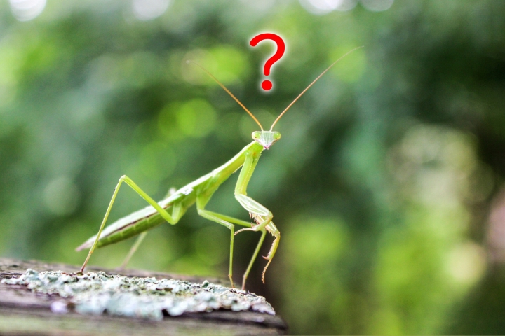 時間を確保することの重要性